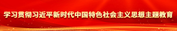 搞逼视频免费看学习贯彻习近平新时代中国特色社会主义思想主题教育